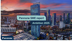 Pannone Ambition Report 2025